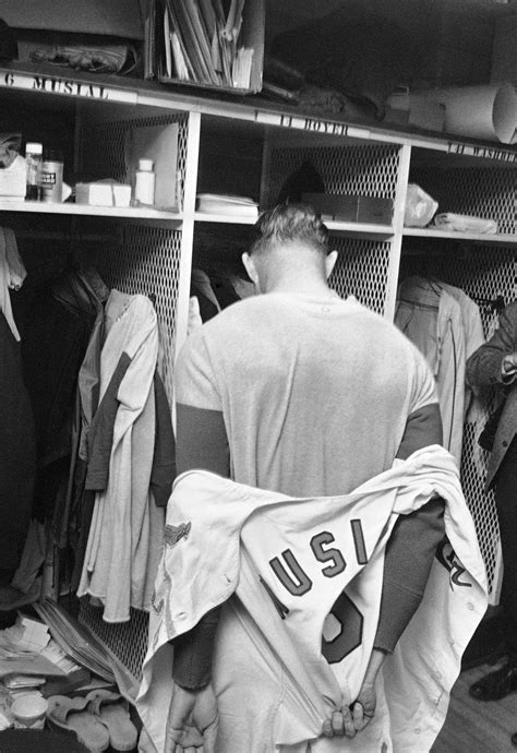 st louis cardinals viva el birdos.